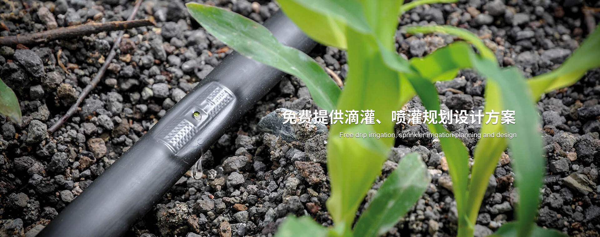大田噴灌_滴灌管廠家_滴灌帶生產廠家_膜下滴灌_智能施肥機_河北潤田節水設備有限公司