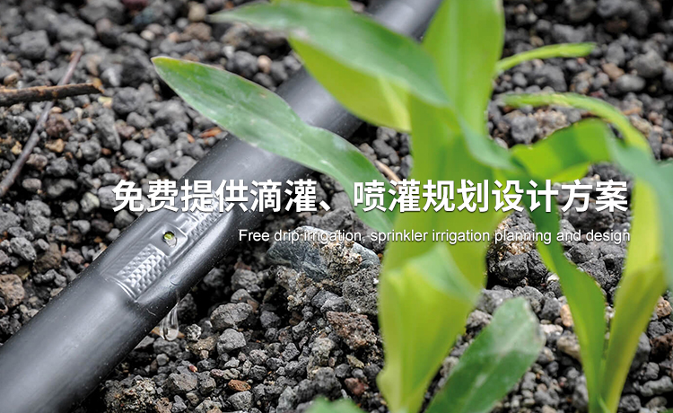 大田噴灌_滴灌管廠家_滴灌帶生產廠家_膜下滴灌_智能施肥機_河北潤田節水設備有限公司